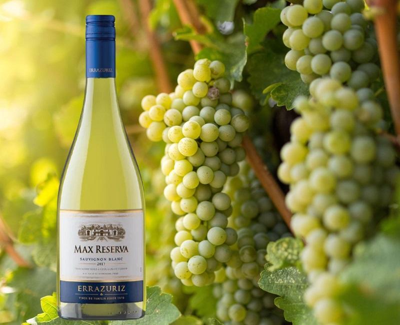 02-Huong-vi-Ruou-Vang-Errazuriz-Max-Reserva-Sauvignon-Blanc-1.jpg