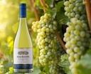 02-Huong-vi-Ruou-Vang-Errazuriz-Max-Reserva-Sauvignon-Blanc-1.jpg
